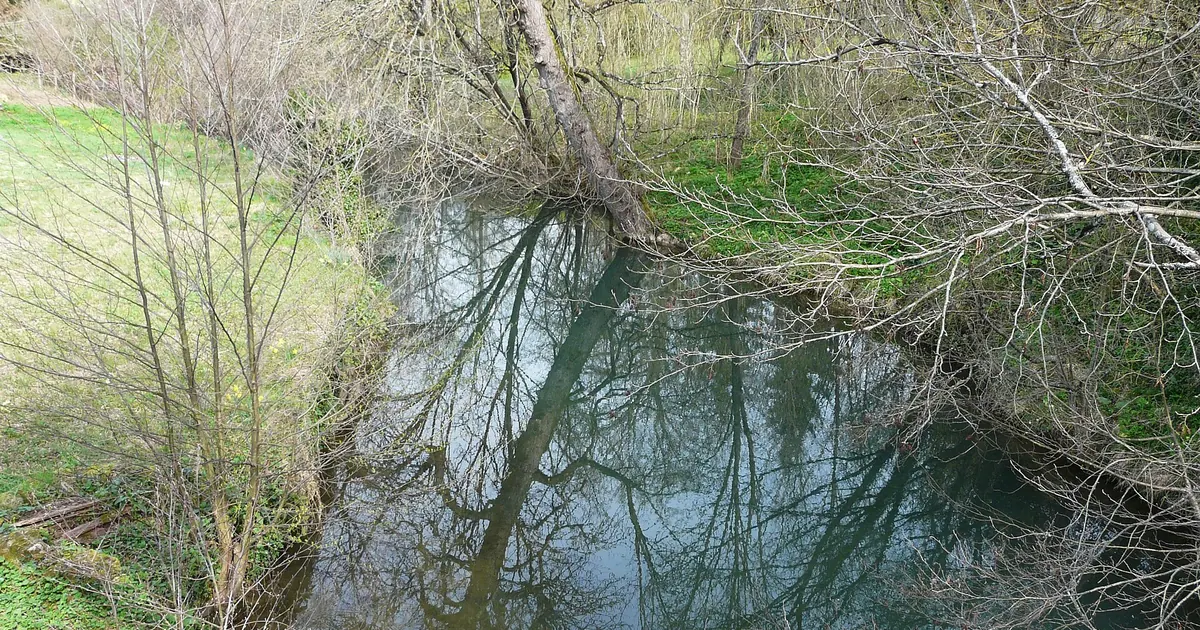 DPE du Vieux Bergerac à Bergerac : bâti ancien, étiquettes et enjeux — Bergerac